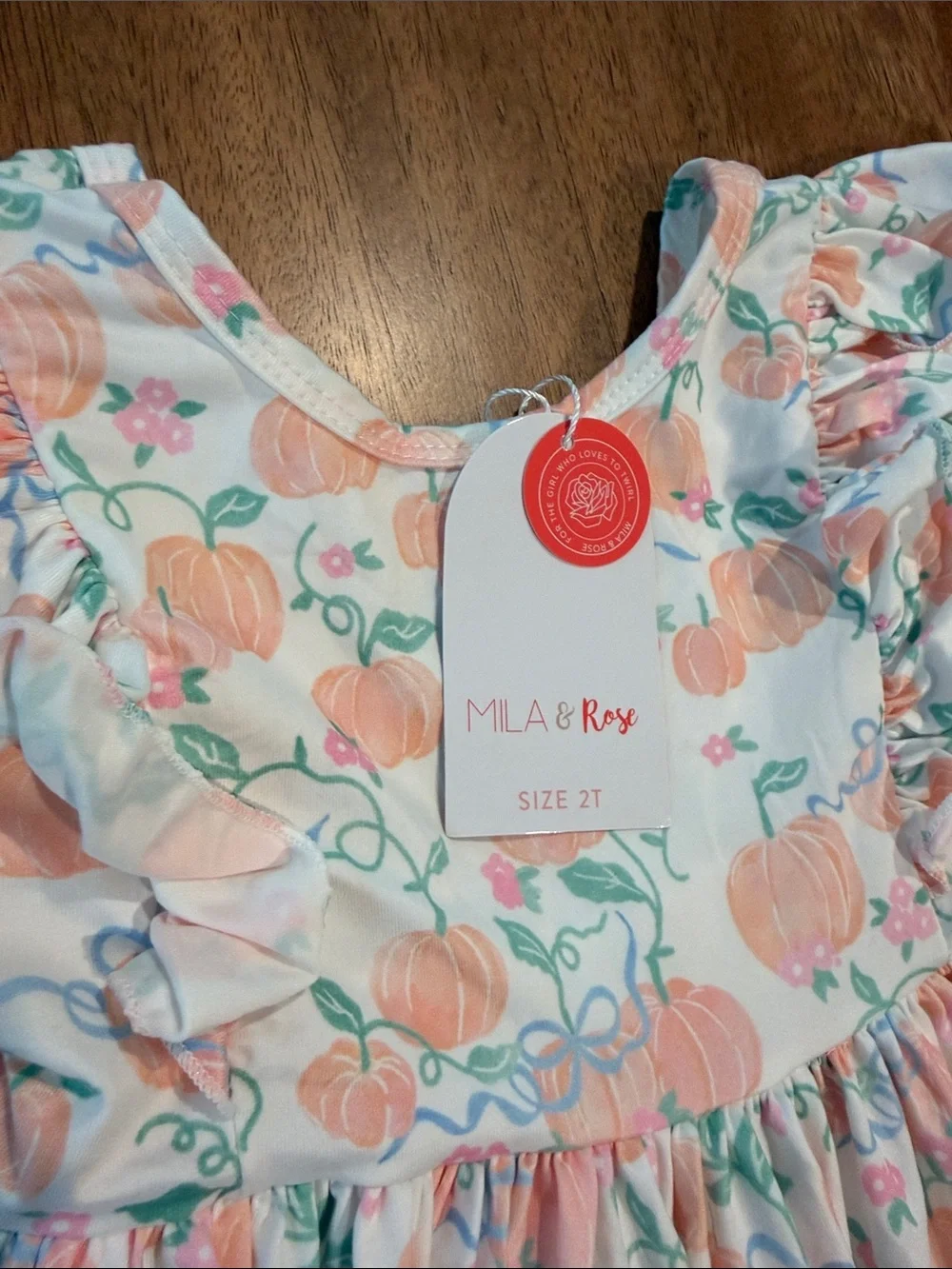 Mila & Rose Girls 2T Fall Ruffle Sleeve Dress